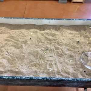 Sand Table