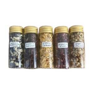 Apothecary Organic Assorted Glass Vials Dried Flowers